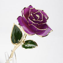 Laden Sie das Bild in den Galerie-Viewer, Blüte Ewige 24K Gold Rose
