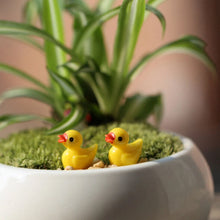 Laden Sie das Bild in den Galerie-Viewer, 🦆Gelbe Mini-Ente Dekoration
