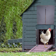 Laden Sie das Bild in den Galerie-Viewer, Geflügelfarm Automatische Hühnerhaustür
