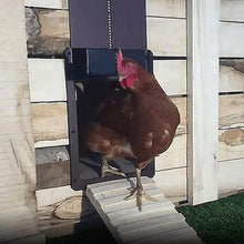 Laden Sie das Bild in den Galerie-Viewer, Geflügelfarm Automatische Hühnerhaustür
