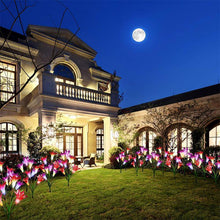 Laden Sie das Bild in den Galerie-Viewer, Solarbetriebene LED-Blume, Solar Garten  Stake Lichter

