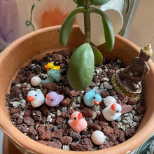 Laden Sie das Bild in den Galerie-Viewer, 🦆Gelbe Mini-Ente Dekoration
